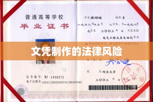 新疆文凭制作的法律风险