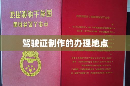 新疆驾驶证制作的办理地点