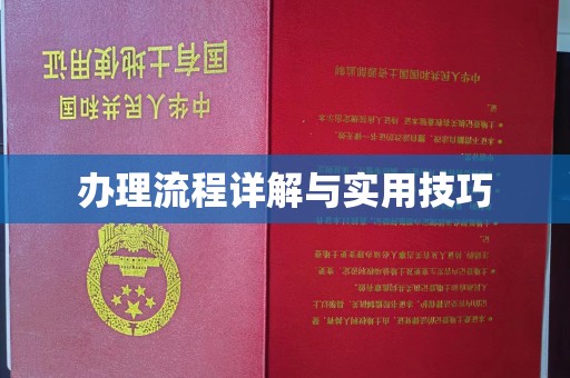 新疆办理流程详解与实用技巧