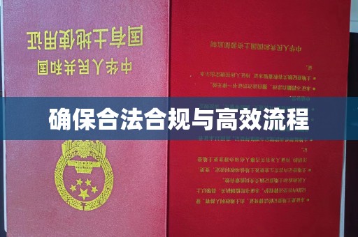 新疆确保合法合规与高效流程