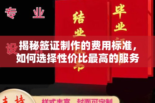 新疆揭秘签证制作的费用标准，如何选择性价比最高的服务？