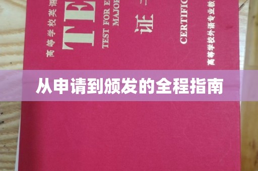 新疆从申请到颁发的全程指南
