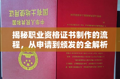 新疆揭秘职业资格证书制作的流程，从申请到颁发的全解析
