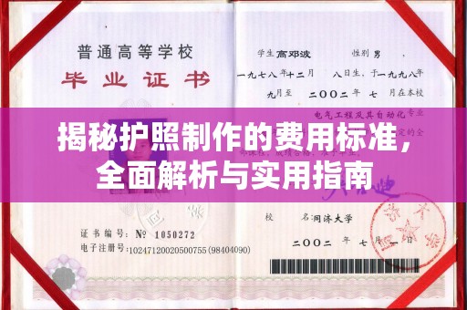 新疆揭秘护照制作的费用标准，全面解析与实用指南