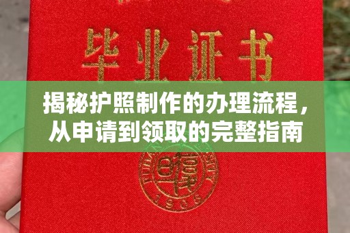 新疆揭秘护照制作的办理流程，从申请到领取的完整指南