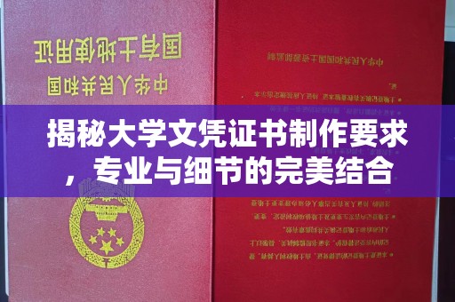 新疆揭秘大学文凭证书制作要求，专业与细节的完美结合