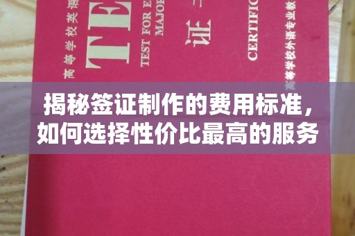 新疆揭秘签证制作的费用标准，如何选择性价比最高的服务？