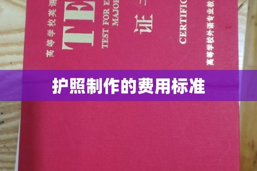 新疆护照制作的费用标准