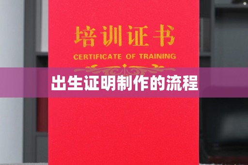 新疆出生证明制作的流程