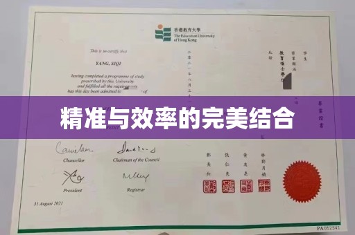 新疆精准与效率的完美结合